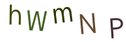 hWmNP