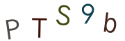 PTS9b